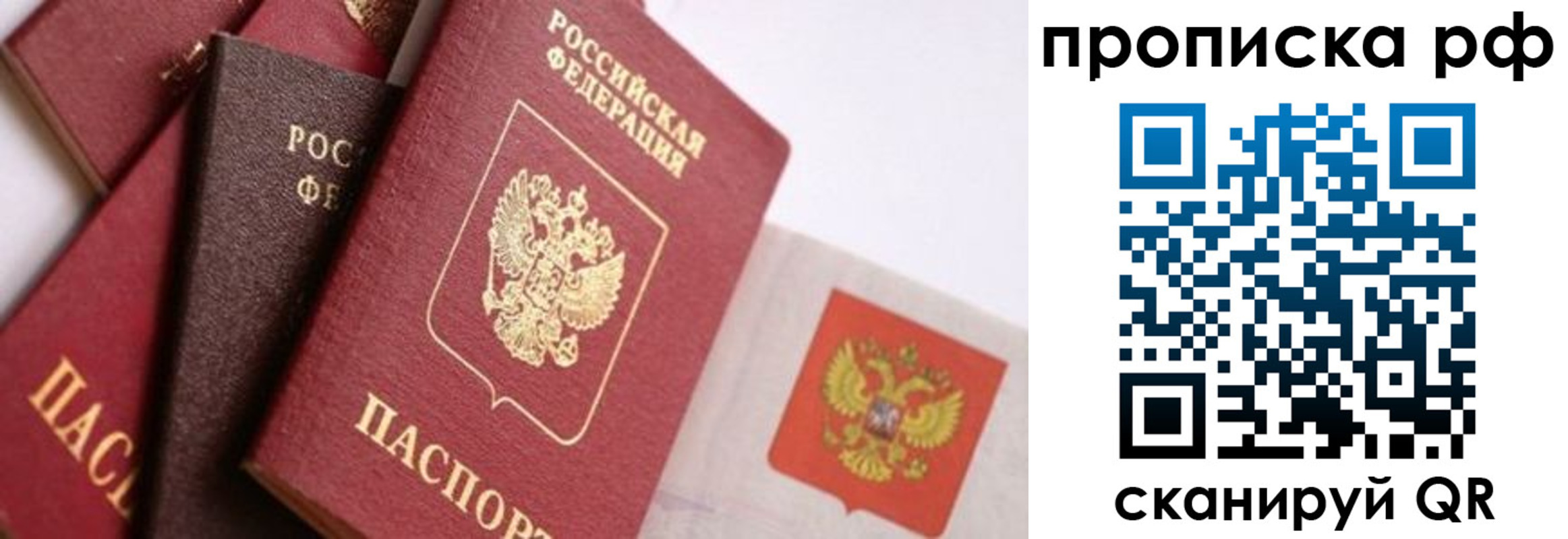прописка ребенка в Орехово-Зуево